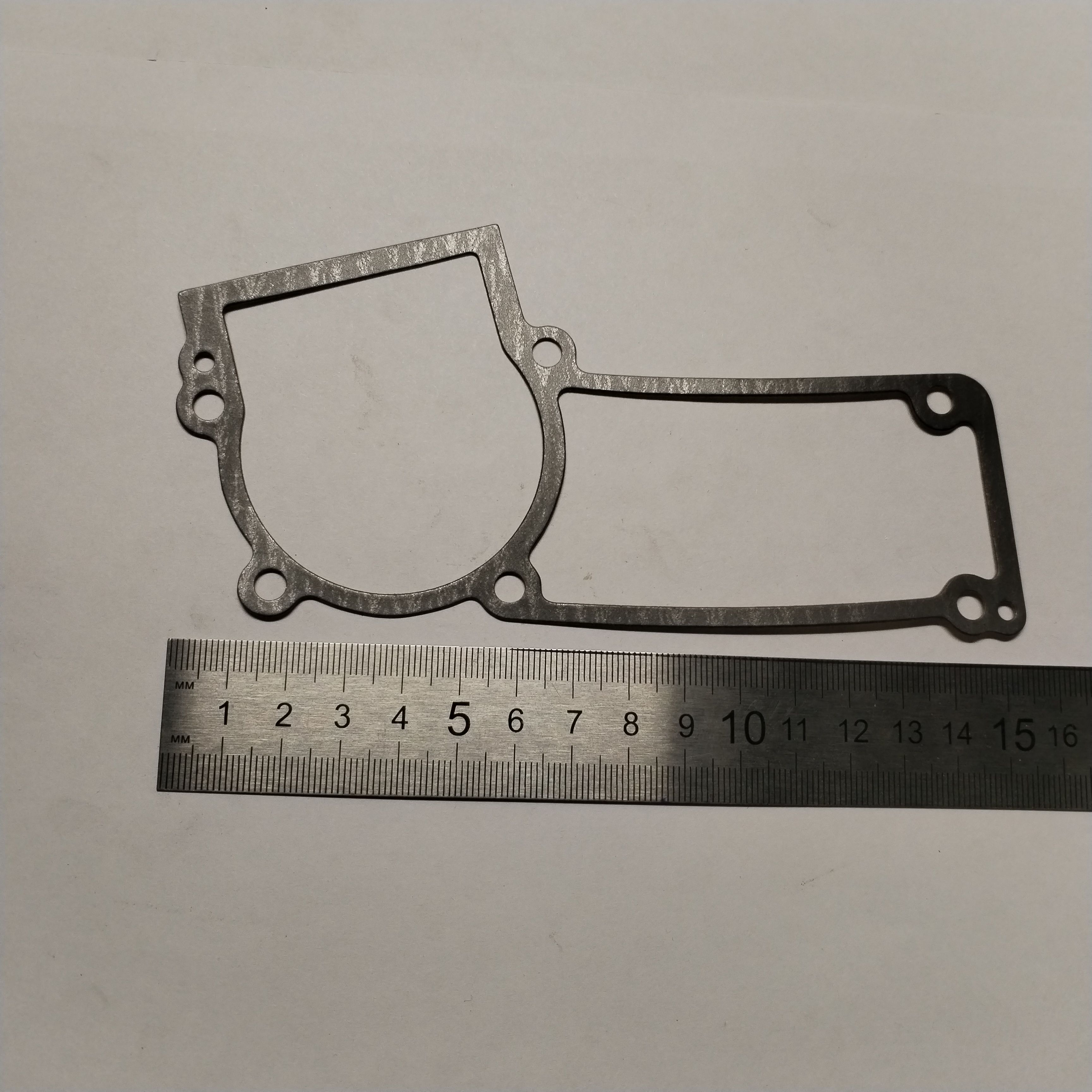 Прокладка картера EA4301F (195111061)